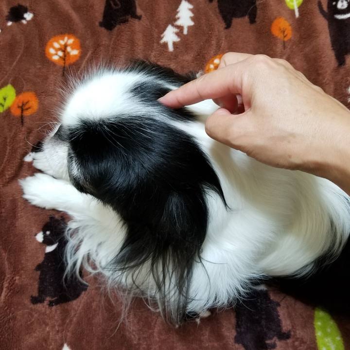 C124678c 6428 4cb4 86a7 9def4562b53d 1541585463447