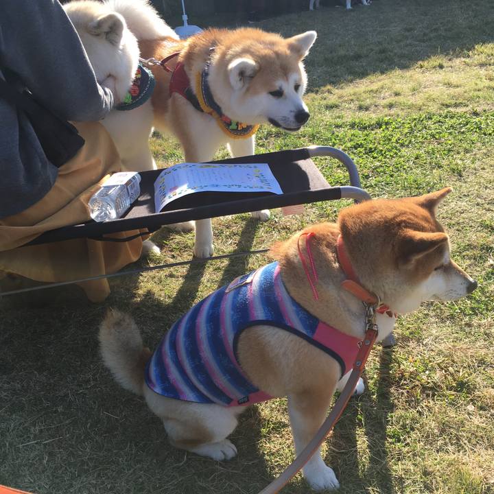 C1246dfa 3667 443c bf3e a71aa5965bbc 1573918503406