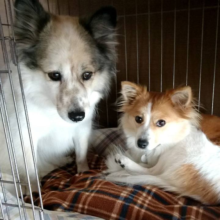 C1246e06 a860 414e 8291 6efc4ee783dc 1514503025606