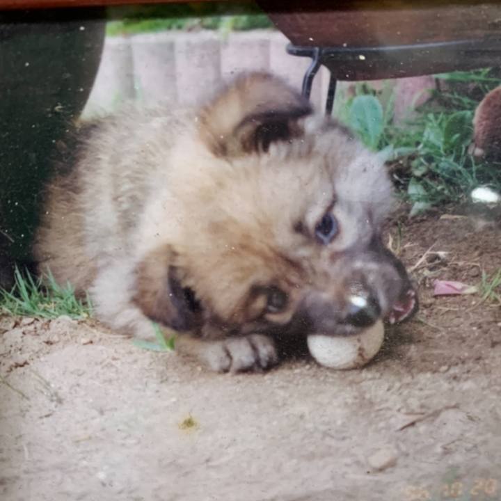 C1249832 5047 4c64 ac67 813d10af3bdc 1645779878587