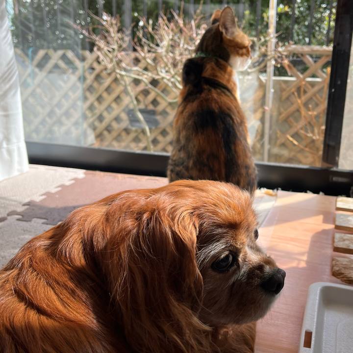 C124fb51 8c37 4cfd b6f1 e4f3aa27e2f4 1770689975574