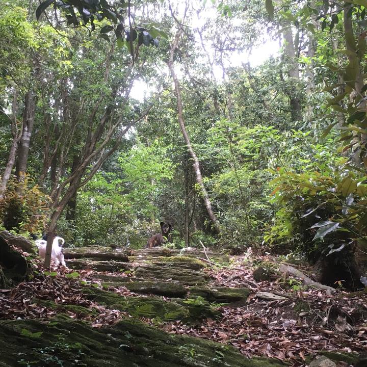 C125099a 7444 4c5e 91cd 59eb5f223d30 1528592711319