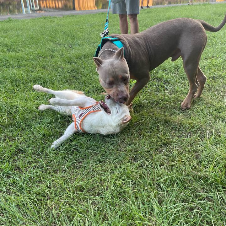 C1252410 b591 4301 b9eb e6281ffb7838 1660482200795