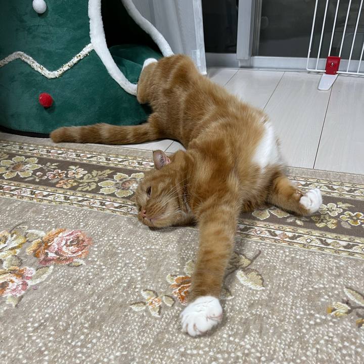 C1254354 a75b 4d26 99c4 41d173c7cb86 1628416620621