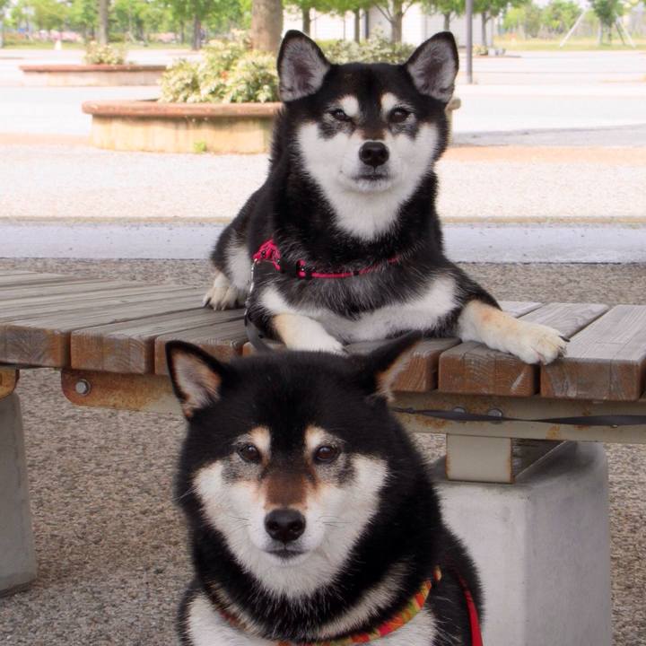 C1254df1 2fdc 4e83 b2b8 dc5ffbb4d539 1559106108493