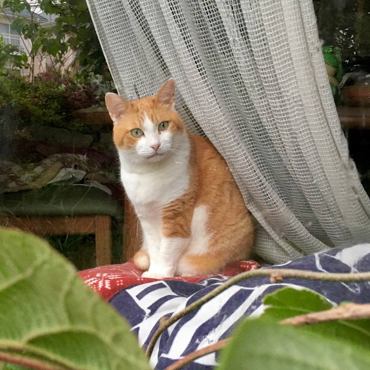 C1256163 f7d3 45a5 abb1 efcf4905732b 1589784991052