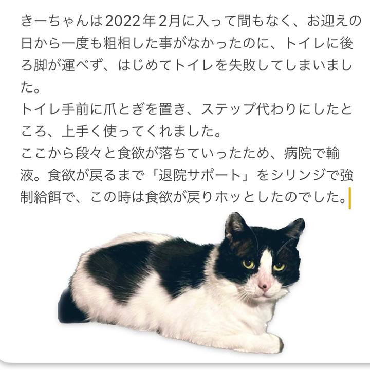 C1257367 bca2 4767 b679 ec75bebc42b1 1692287154519