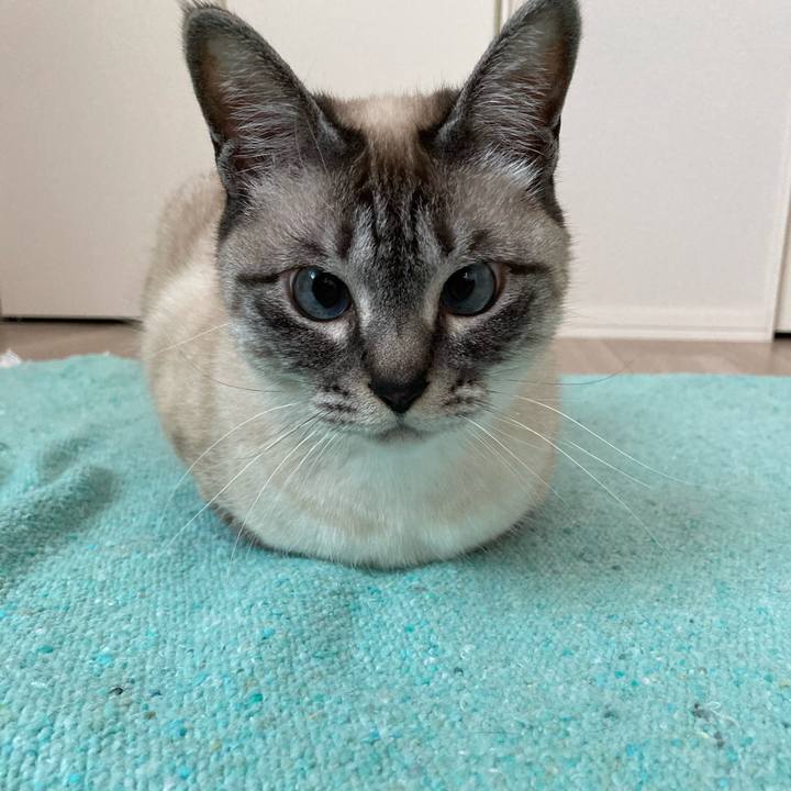 C125c519 2ddc 48fc 9801 201d9ce5d165 1682897578734