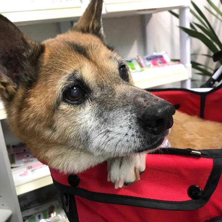 C12602d8 3cb3 4418 94c5 c7cb226eae32 1547804516117