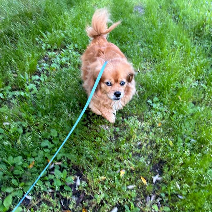 C12674fe 0538 4bc1 835f 522e825200db 1714180751492