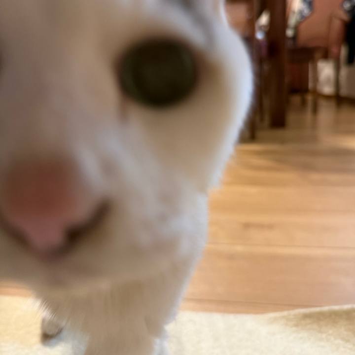 C1269705 595b 4f2f 9ff3 b8ad18c7fcbc 1765188458519