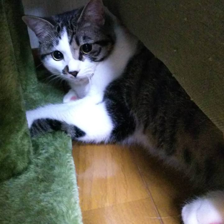 C126c058 8dfe 4d48 9eaf ea9be18d265a 1622671172835