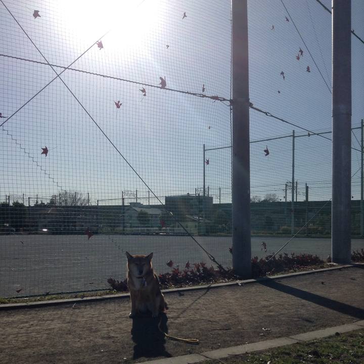 C126e1a3 9dc9 4af5 8ebd a23e55e22f05 1513227820709