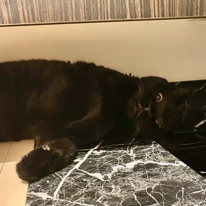 C1274b4a d2c4 4f6e a09d fa7d55b3f387 1664105449628