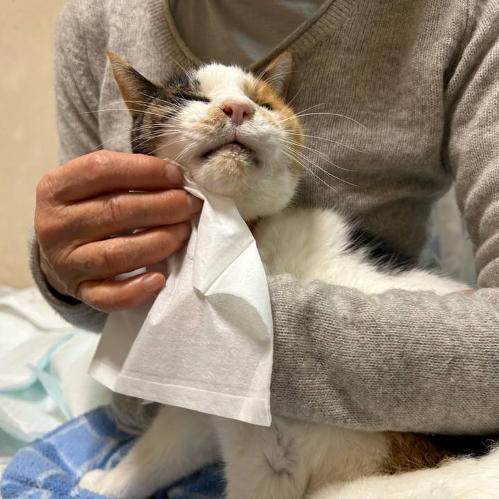 C1274b96 5ba5 4db3 a48e 19122d4a0b76 1733561961700