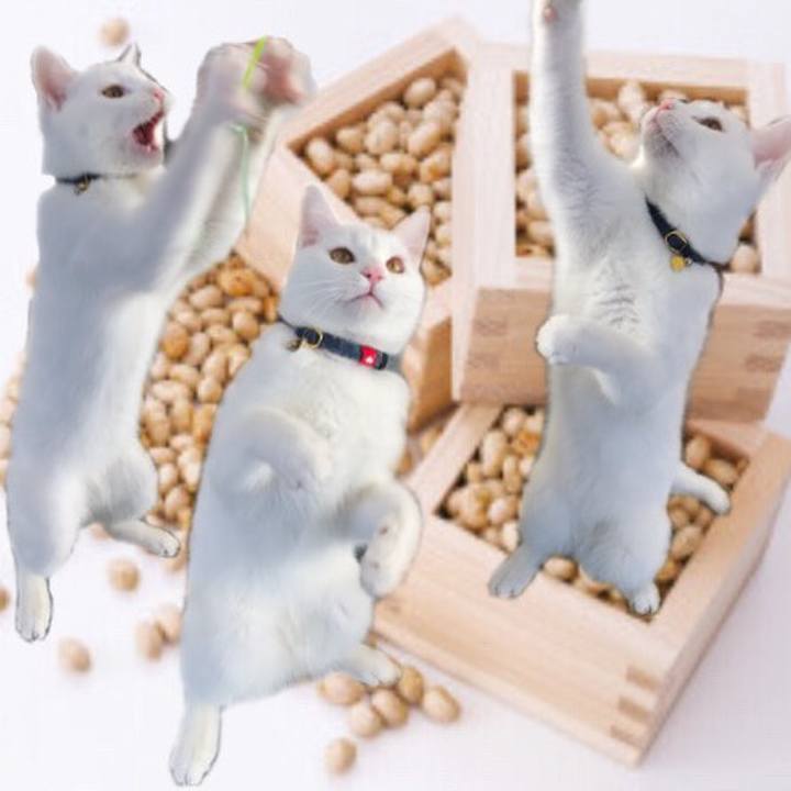 C1275318 7b5d 4c0a aea9 4b86f15fa602 1580728010669