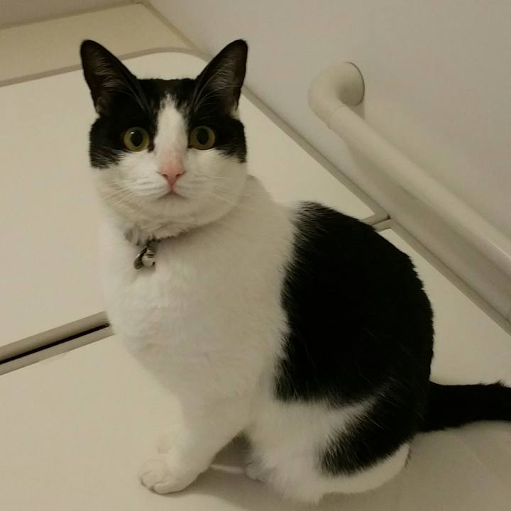 C1276413 df0d 49f1 a7be 8f73eee1593d 1523713240065