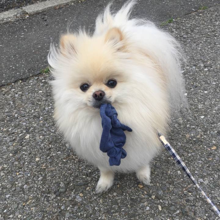 C1278a69 e516 4fb5 a125 7a4a47434769 1522885654251