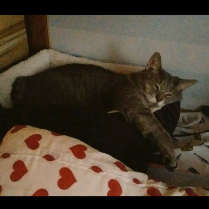 C1278faf a292 4d55 af49 8cb314f6a073 1571871466351