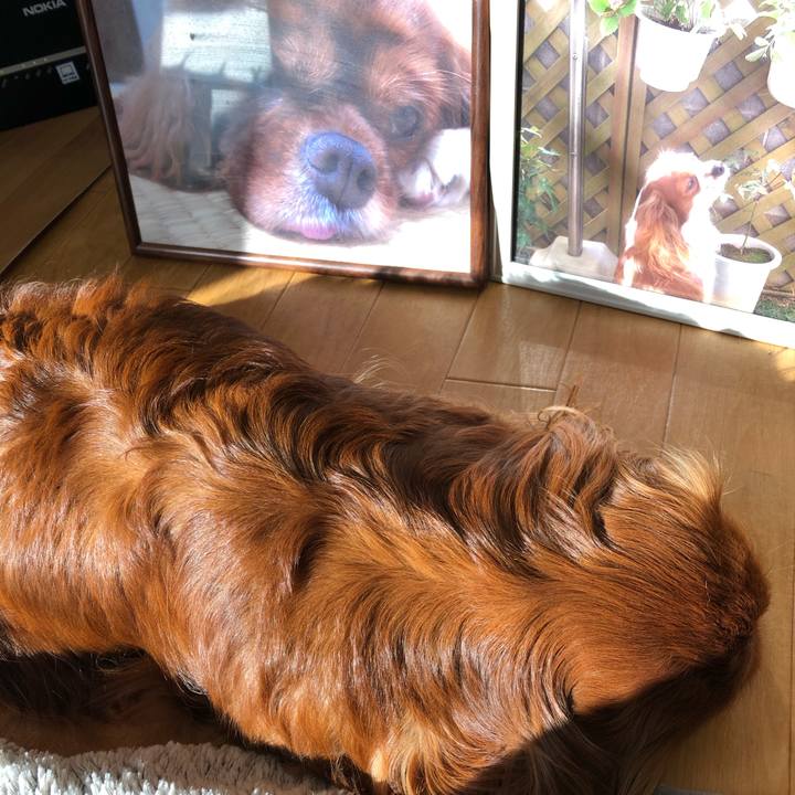 C12793ee c6a4 4abf 8fa6 9f7fd8bed159 1618498653978