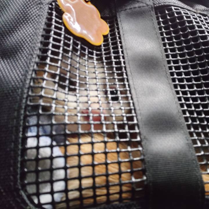 C127afb3 f416 43ff 9891 cbd1806323fe 1761697222876