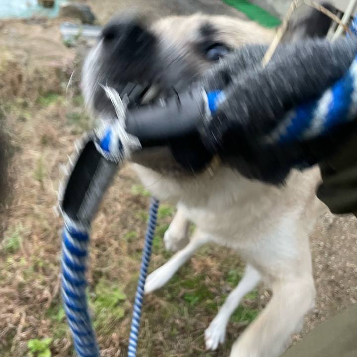 C127bcfd d72b 4623 86f0 79a4e844b2ec 1669896738348