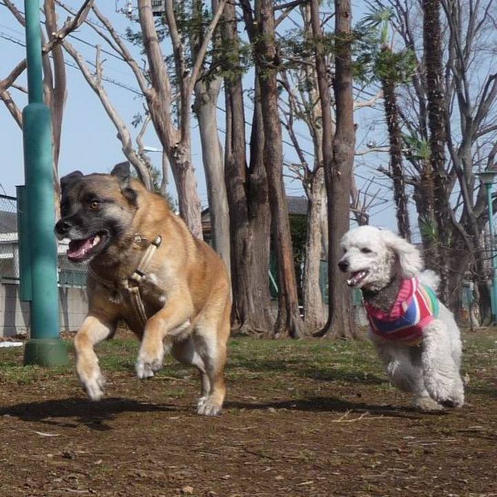 C127ca1a 59d2 4a6d b167 02974932a96c 1576819907753