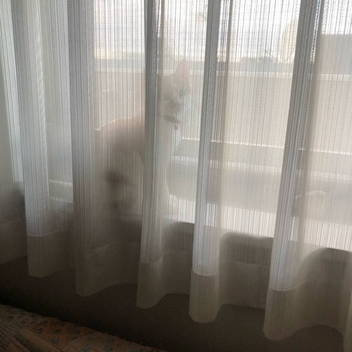 C127e3bf 976f 41e0 b0a5 d3fefad056e8 1568535393110