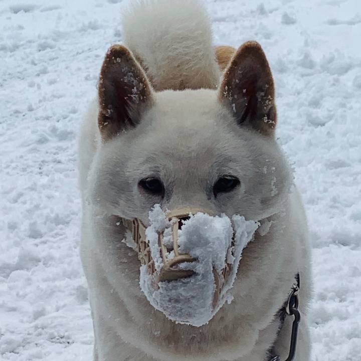 C128539b 1954 477a 8742 d4ec0afc1c98 1574998432415