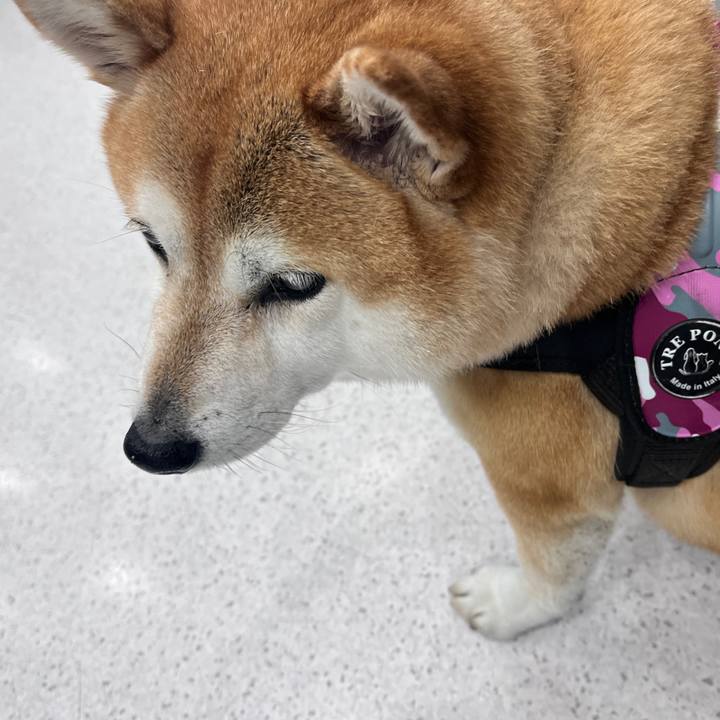 C128c84c f532 41dc 90c9 18d5d44e6477 1703985645947