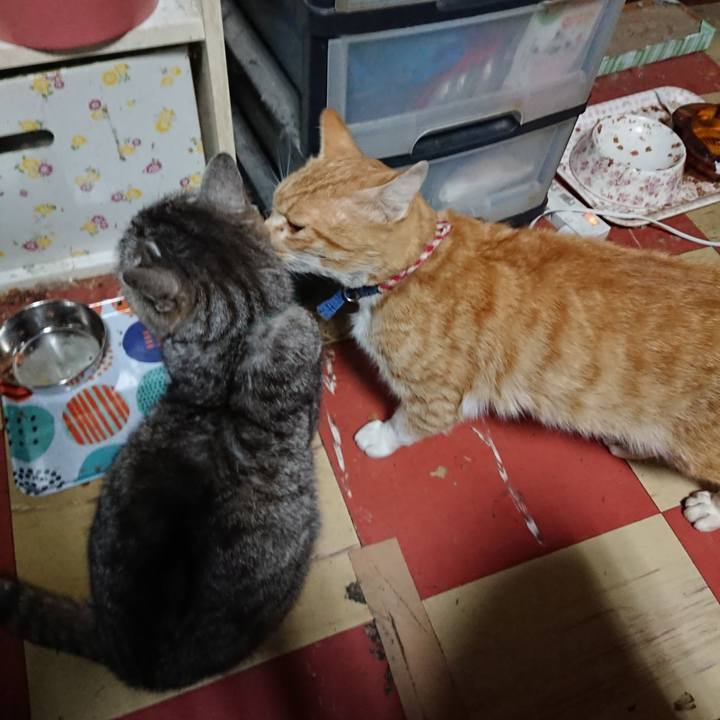 C128d372 9b89 491c ba9e 521082cdbed8 1560715643199