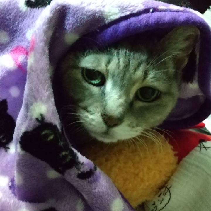 C12902eb 8810 4330 9bf7 f4c5279b2369 1699789149945