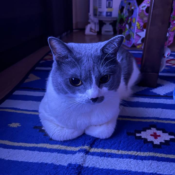 C1292b1a e3a7 4285 b666 ade5b17f78a8 1661784715673