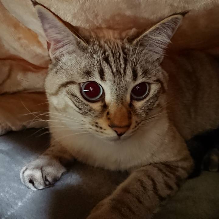 C1296e5c 737f 4e40 824c 959019483ee3 1513602308379