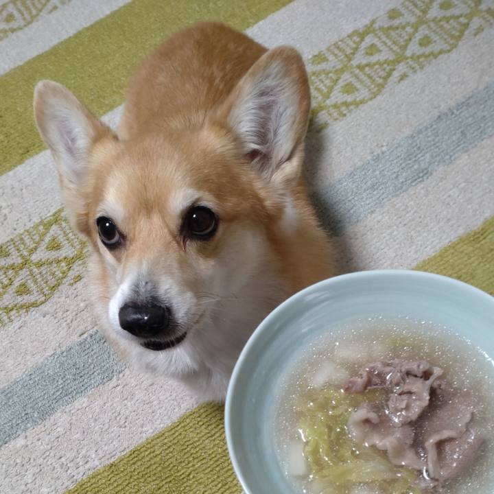 C1298a09 cc98 45f2 9a17 3b0b83a6521e 1672488464347