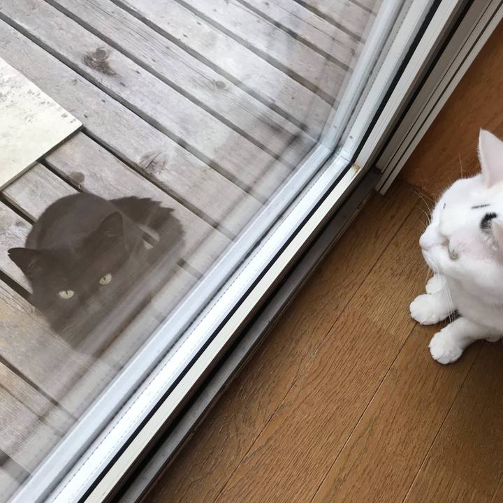 C1299701 12ba 4c47 97da aa63a78cde21 1595883485009