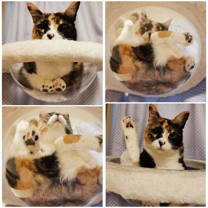 C129992e 1b64 491b 9d7b 4c003f7642b8 1651378996468