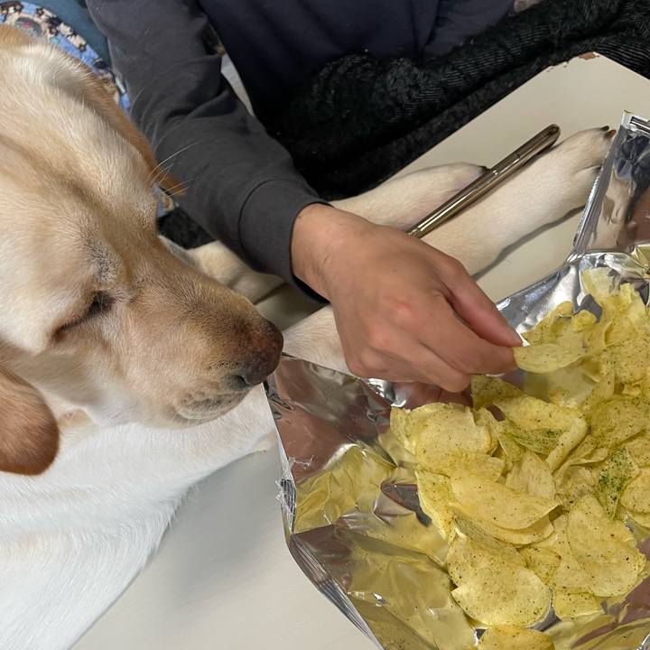 C129e3d4 d7dc 4b65 bea2 9c3d995f3fde 1647762817276