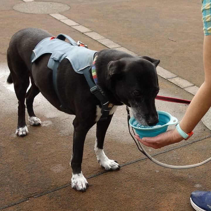 C129ef49 ee01 41a0 9d8a 0c64f3c1f17b 1725062416265