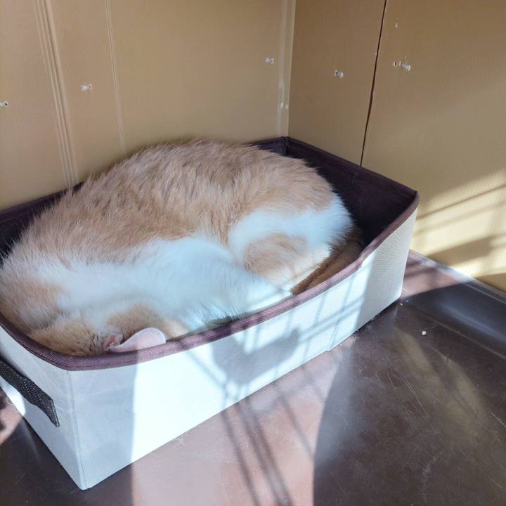 C12a1c6e a907 4094 b4cc 0405b989f2b3 1679960945462