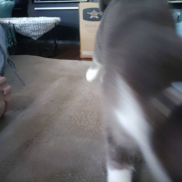 C12a6e98 85b0 4d98 a5bb c299d5537ec6 1724369537956