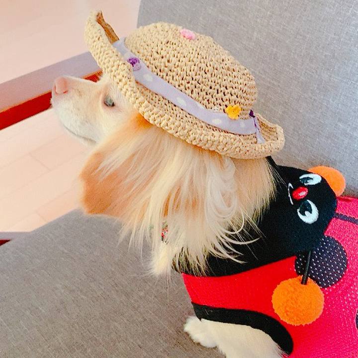 C12a8170 446f 41f2 964b 1c1487782251 1625048627250