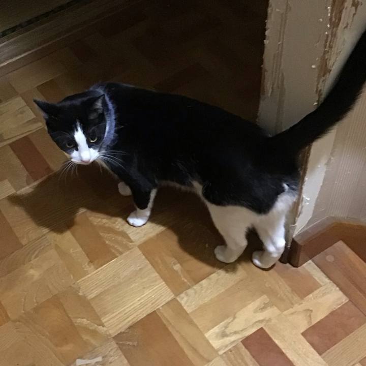 C12a8e2b d93e 4989 b0ae 1a929c69aa9a 1667915267209