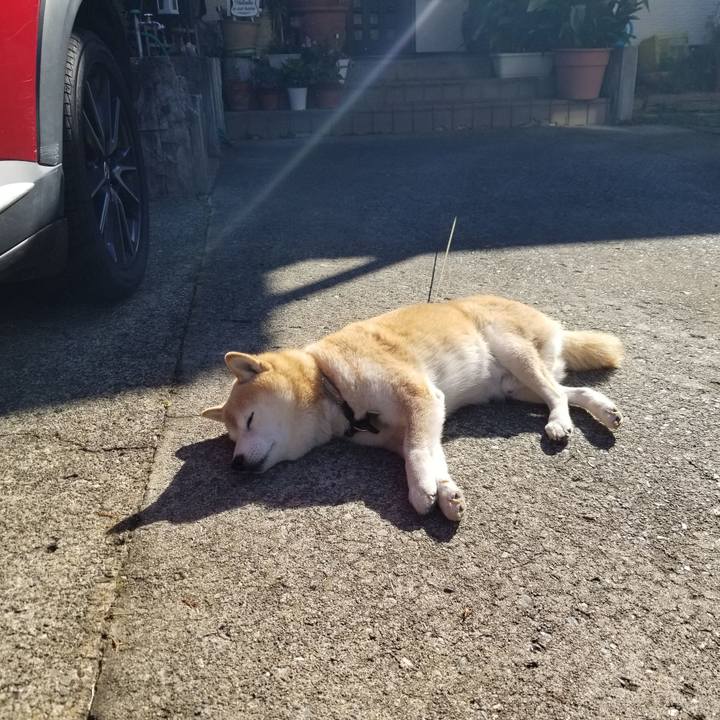 C12a9f03 65c2 4c0b a41b 10eabda0c4f2 1698106604340