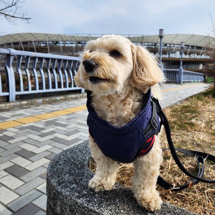 C12aa8ba bead 4da8 8e51 082d6b20d29b 1770353631400