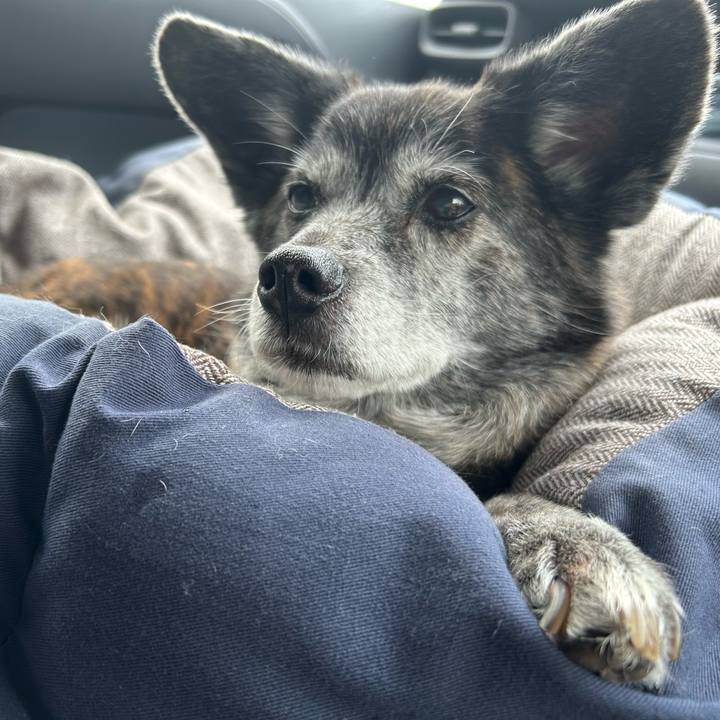 C12adf03 603c 4020 9218 92a20dbd970b 1747001108409