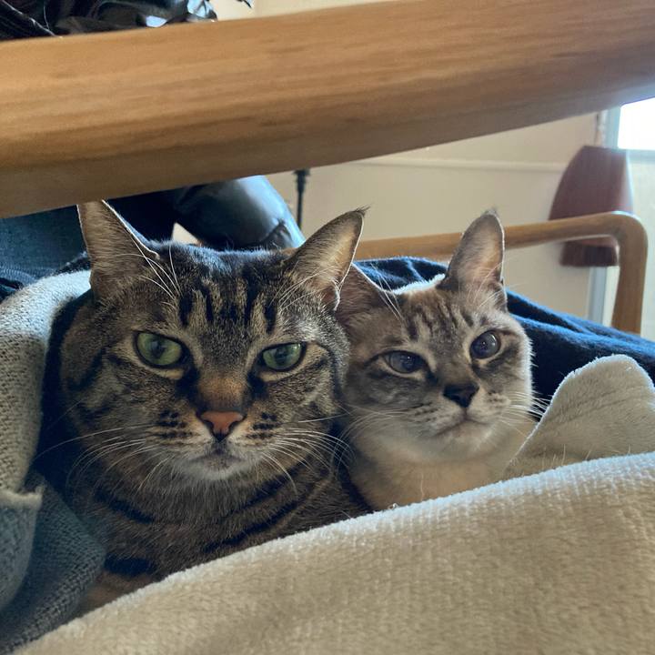 C12ae777 2cb7 4484 b2aa 8c0a8663079d 1673153404852