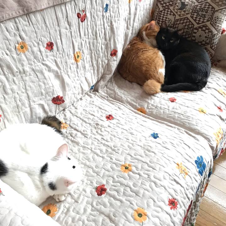 C12af733 43fa 4534 b2b0 a1cb5e27fad7 1595485245743