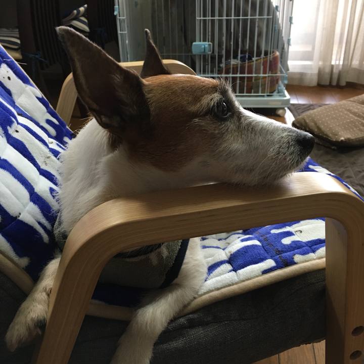 C12aff2c 7881 488c b816 db475813e16f 1583542113721