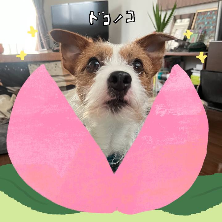 C12b0610 43b2 4ff8 b3c3 f4cad96fdeac 1771842261337